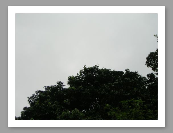 DSCN0326.JPG