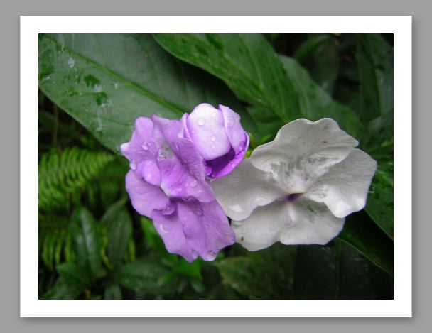 DSCN0372.JPG