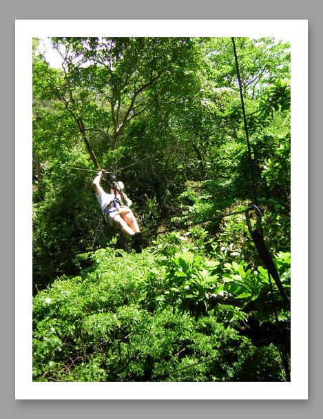 Canopy Tour - 3