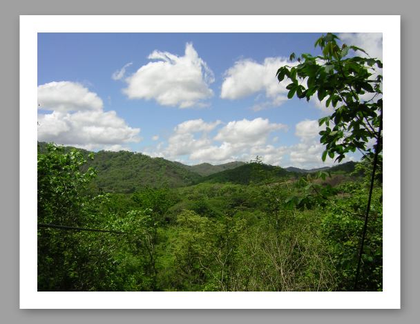 Canopy Tour - 7