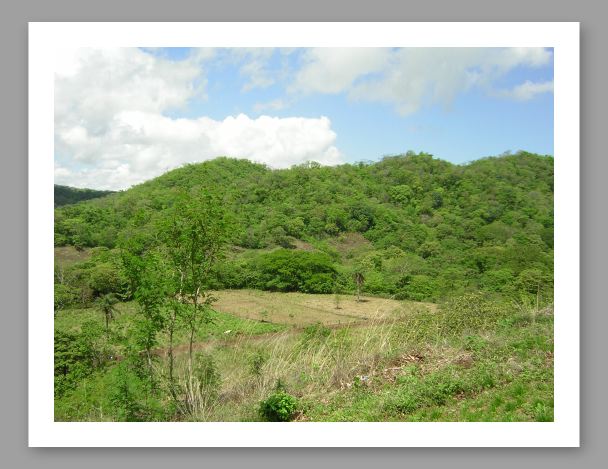 Canopy Tour - 8