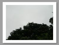DSCN0326.JPG