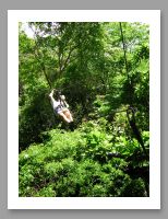 Canopy Tour - 3