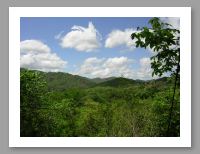Canopy Tour - 7
