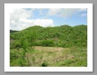 Canopy Tour - 8