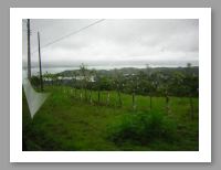 DSCN0309.JPG